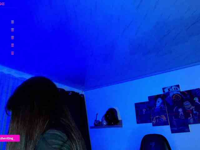 Nicorobin webcam