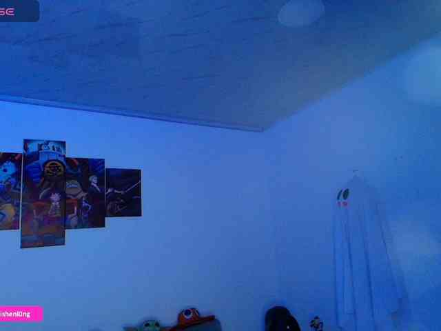Nicorobin webcam