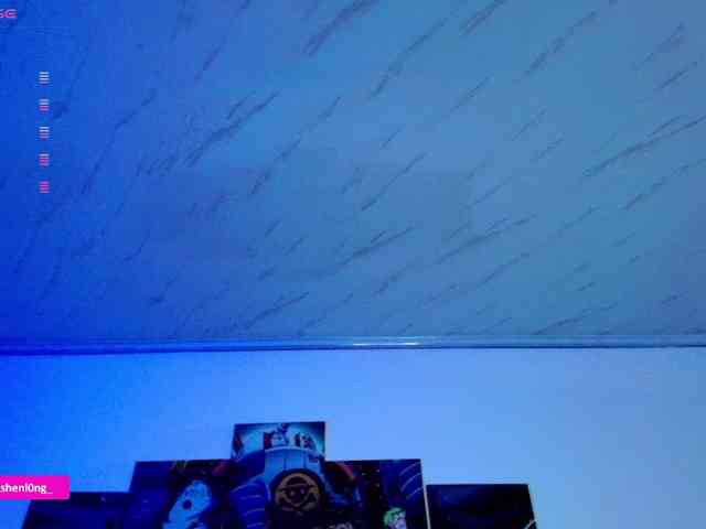 Nicorobin webcam