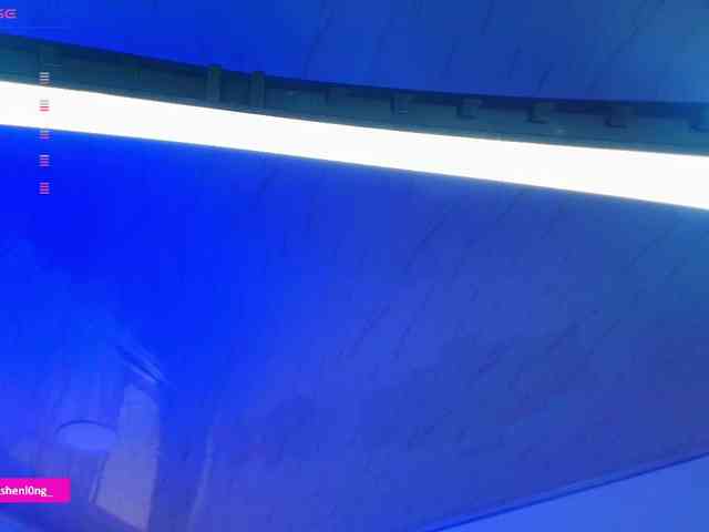 Nicorobin webcam