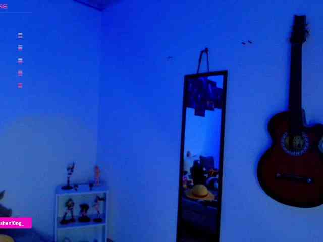 Nicorobin webcam