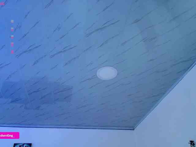 Nicorobin webcam