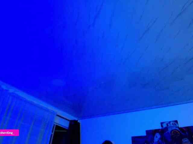 Nicorobin webcam