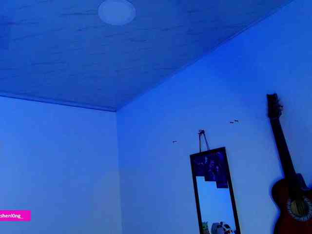 Nicorobin webcam