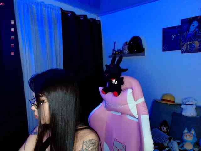 Nicorobin webcam