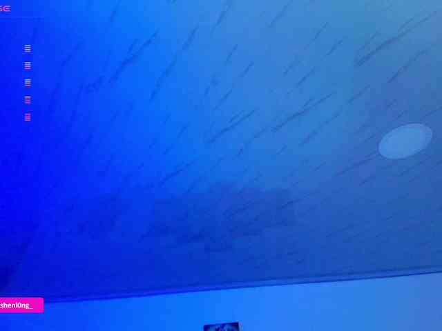 Nicorobin webcam