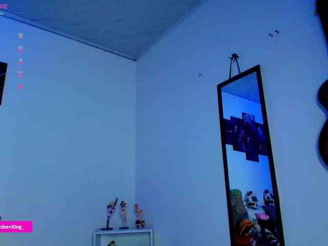 Nicorobin webcam