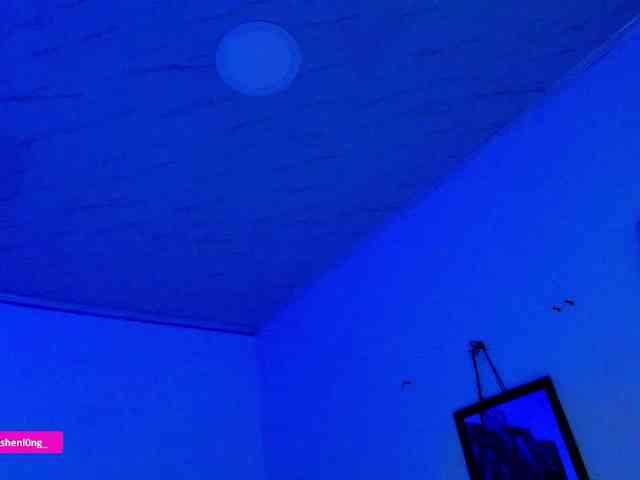 Nicorobin webcam