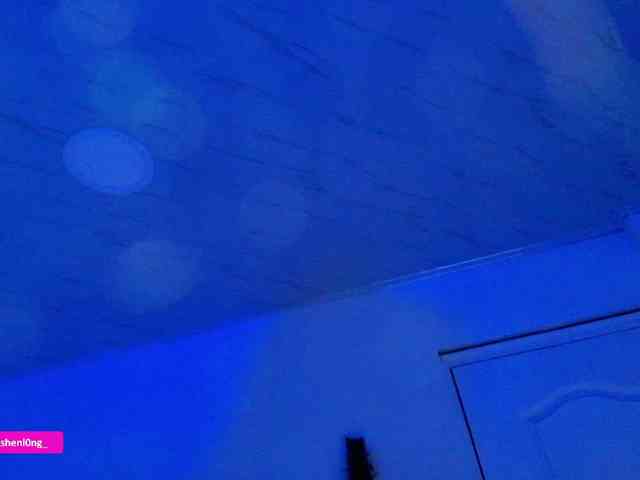Nicorobin webcam