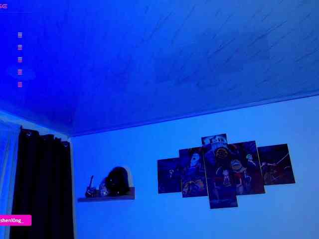 Nicorobin webcam