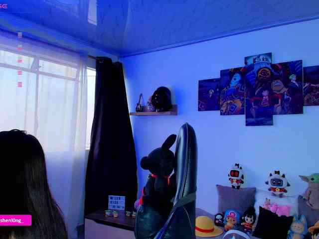 Nicorobin webcam