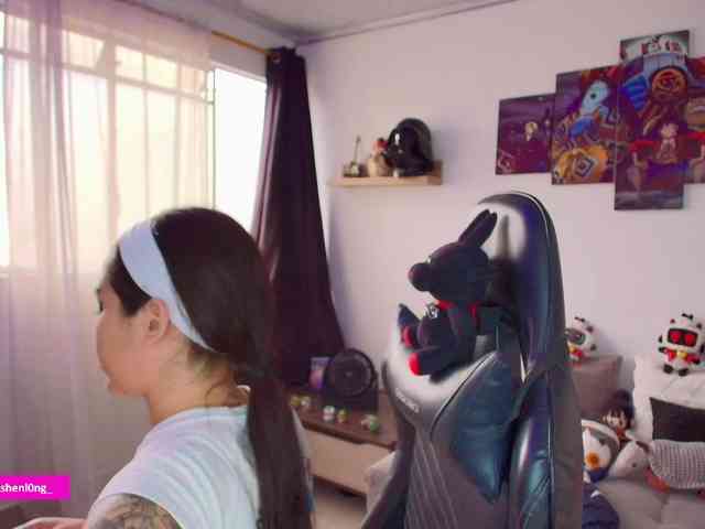 Nicorobin webcam