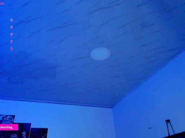 Nicorobin webcam