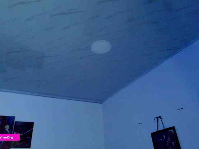 Nicorobin webcam