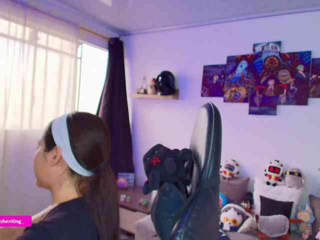Nicorobin webcam