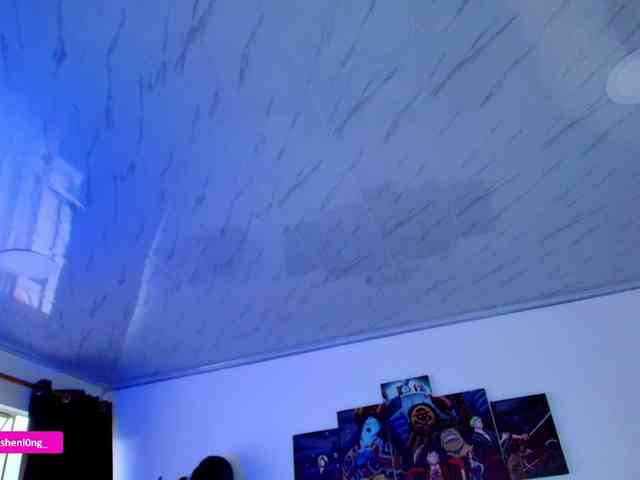 Nicorobin webcam