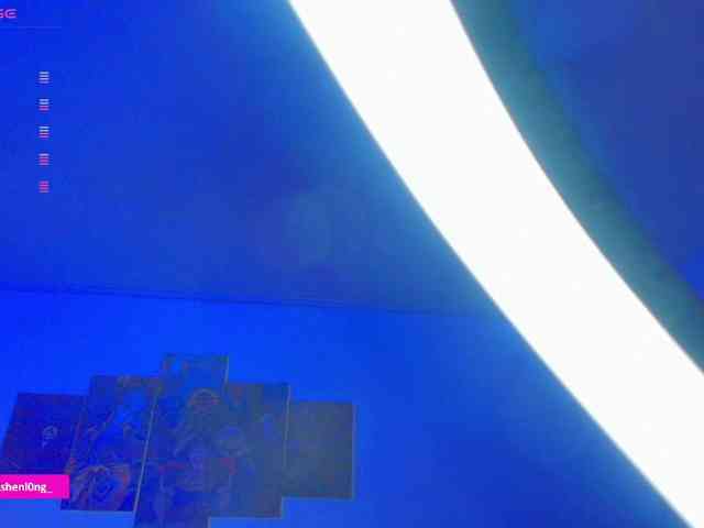 Nicorobin webcam