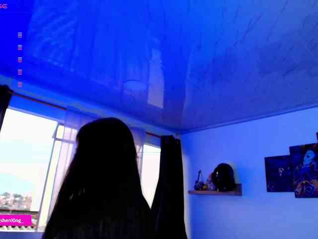 Nicorobin webcam