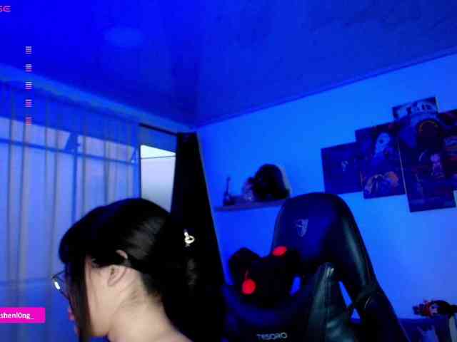 Nicorobin webcam