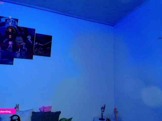 Nicorobin webcam