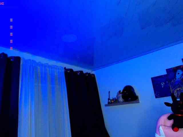 Nicorobin webcam