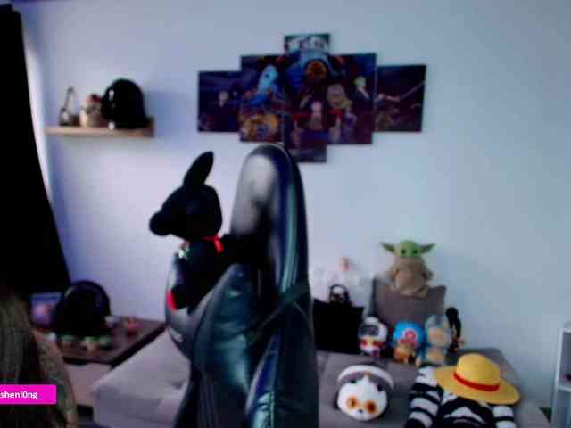 Nicorobin webcam