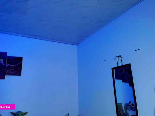 Nicorobin webcam