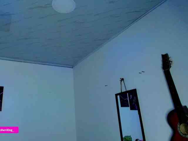 Nicorobin webcam