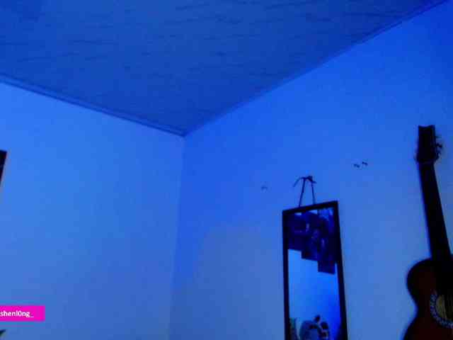 Nicorobin webcam