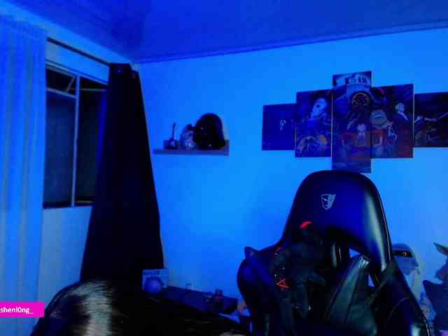 Nicorobin webcam