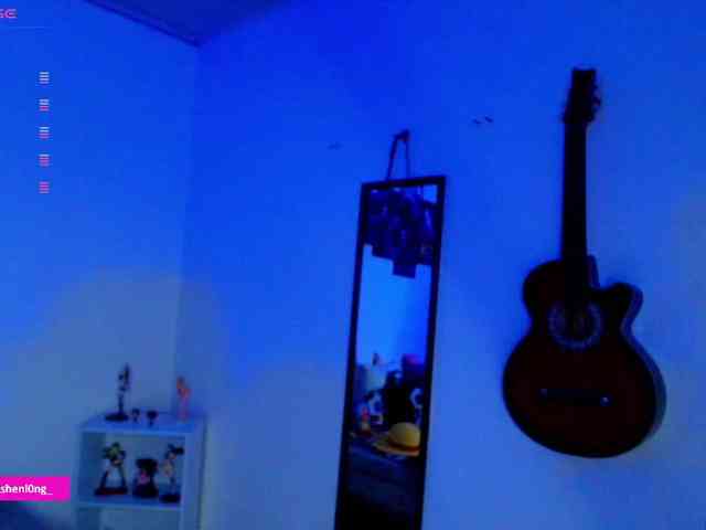 Nicorobin webcam