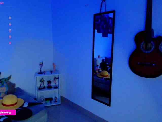 Nicorobin webcam