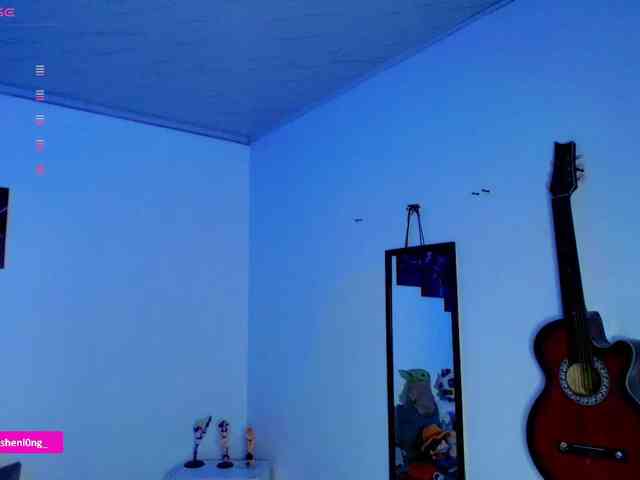 Nicorobin webcam