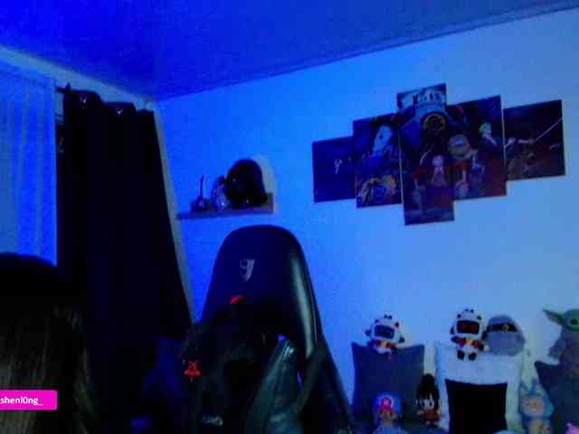 Nicorobin webcam