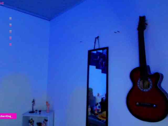 Nicorobin webcam