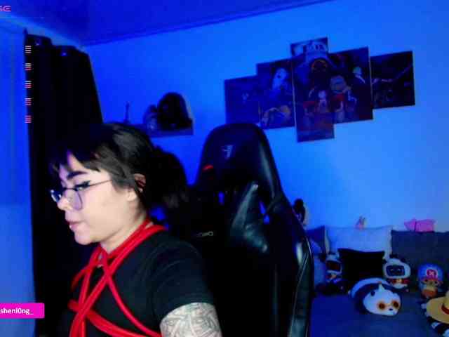 Nicorobin webcam