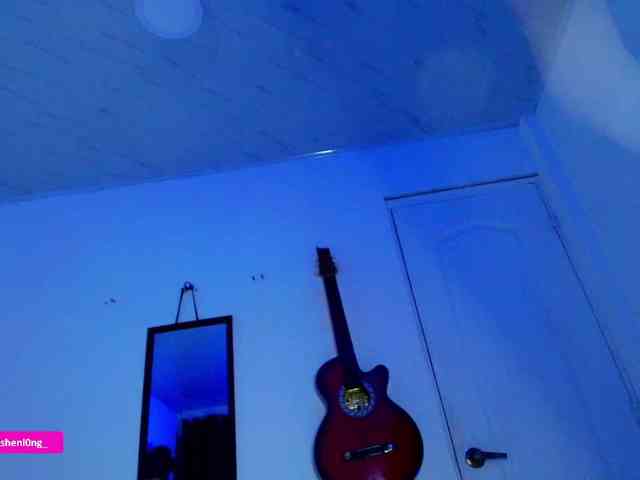 Nicorobin webcam