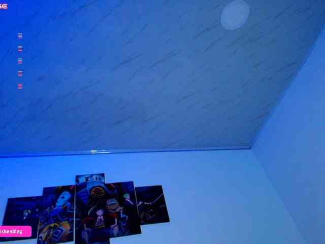 nicorobin's live room