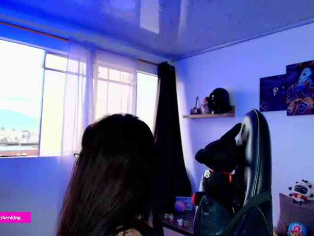 Nicorobin webcam