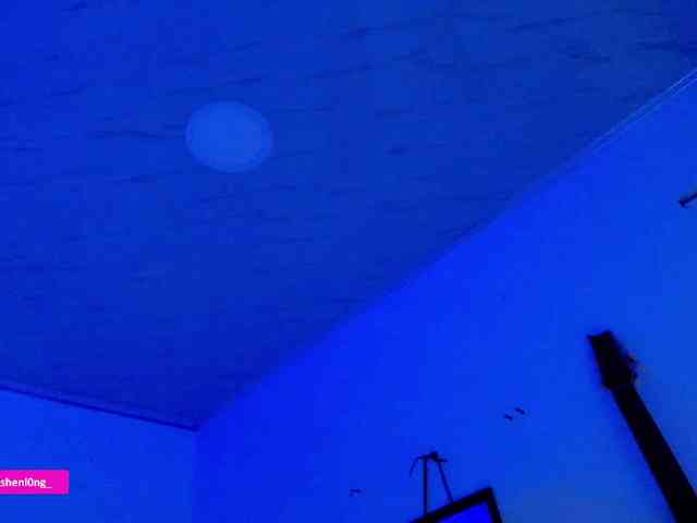 Nicorobin webcam