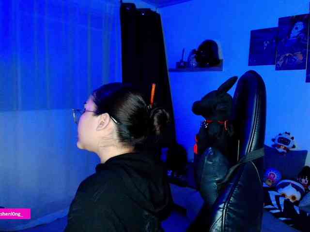 Nicorobin webcam