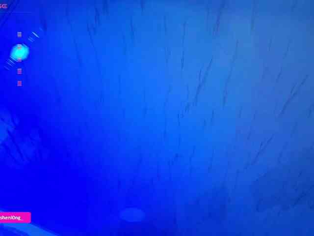 Nicorobin webcam
