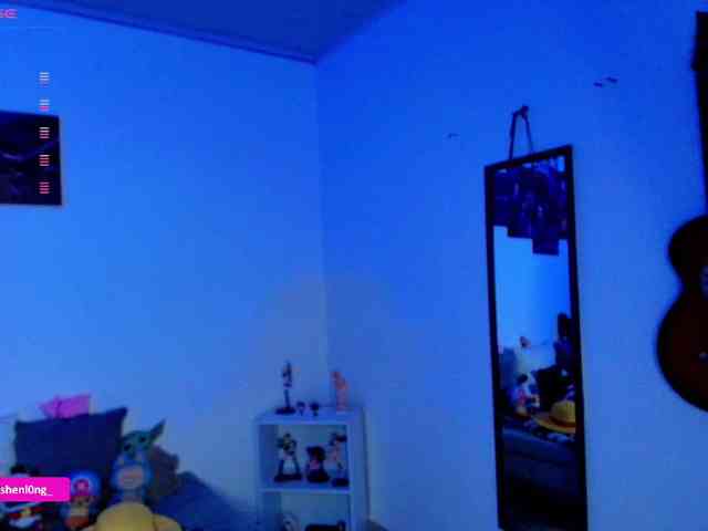Nicorobin webcam