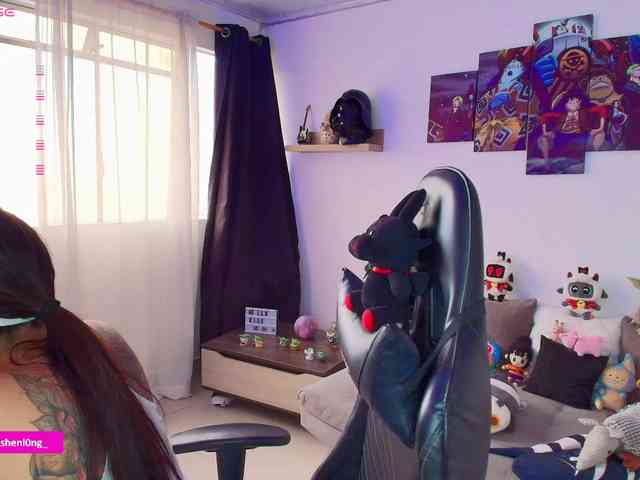 Nicorobin webcam