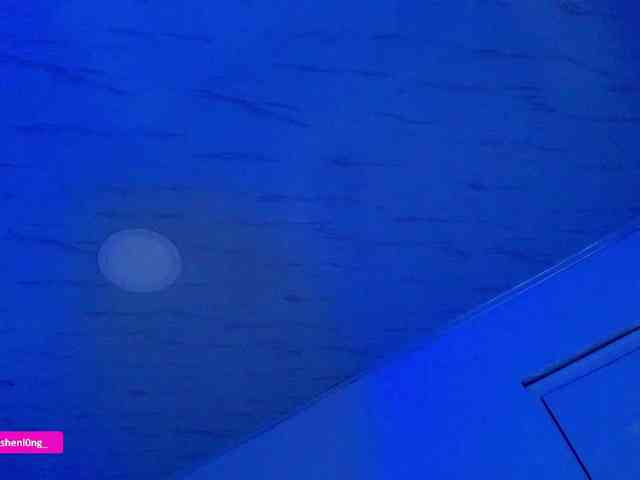 Nicorobin webcam