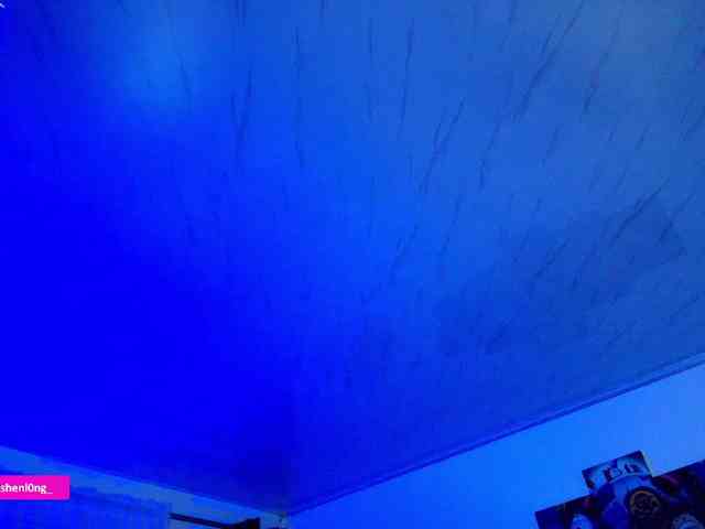 Nicorobin webcam
