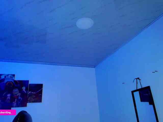 Nicorobin webcam