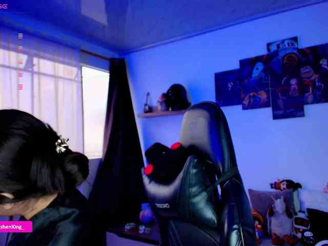 Nicorobin webcam