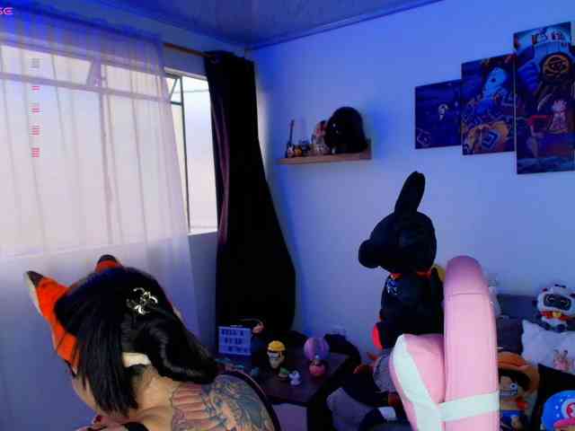Nicorobin webcam
