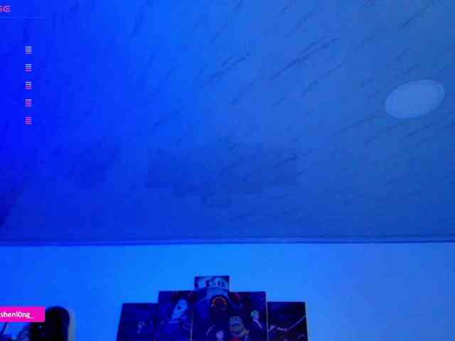 Nicorobin webcam